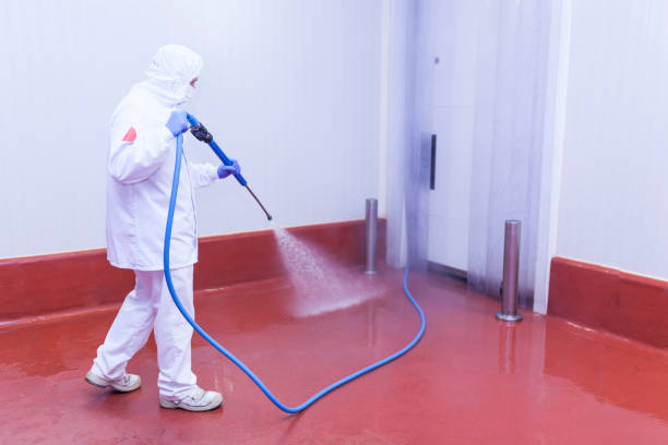 Best Deck and Patio Pressure Washing in Fort Campbell North, KY