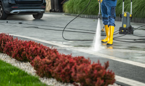 Best Roof Cleaning and Mildew Removal in Fort Campbell North, KY